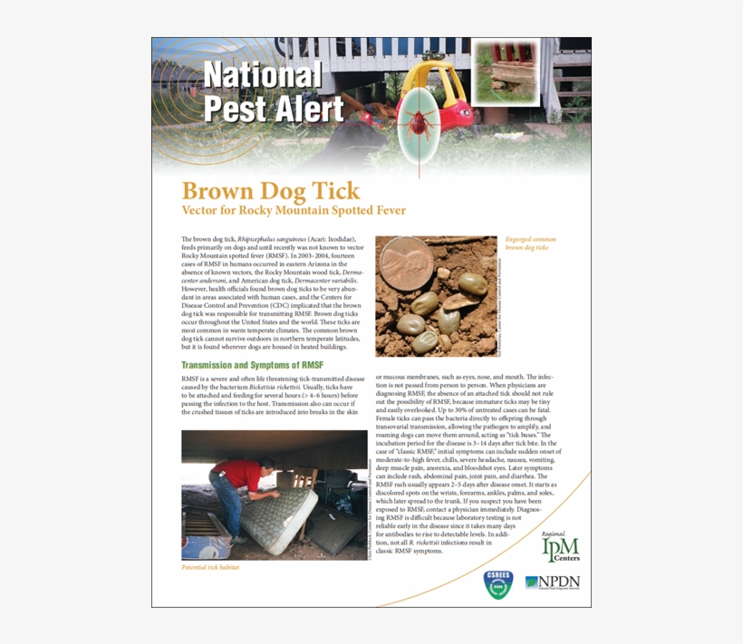 National Pest Alert - Flyer, transparent png