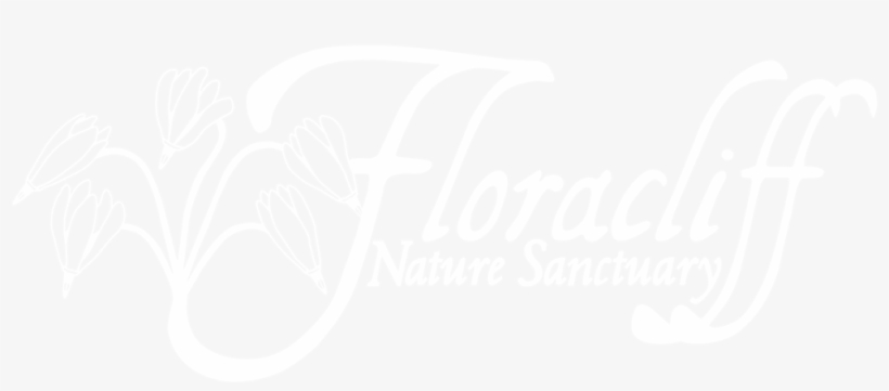 Logo Header Menu - Calligraphy, transparent png