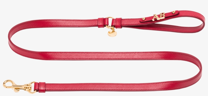 Leather, transparent png