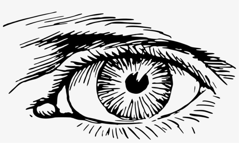 Eyeball Graphics - Eye Png, transparent png