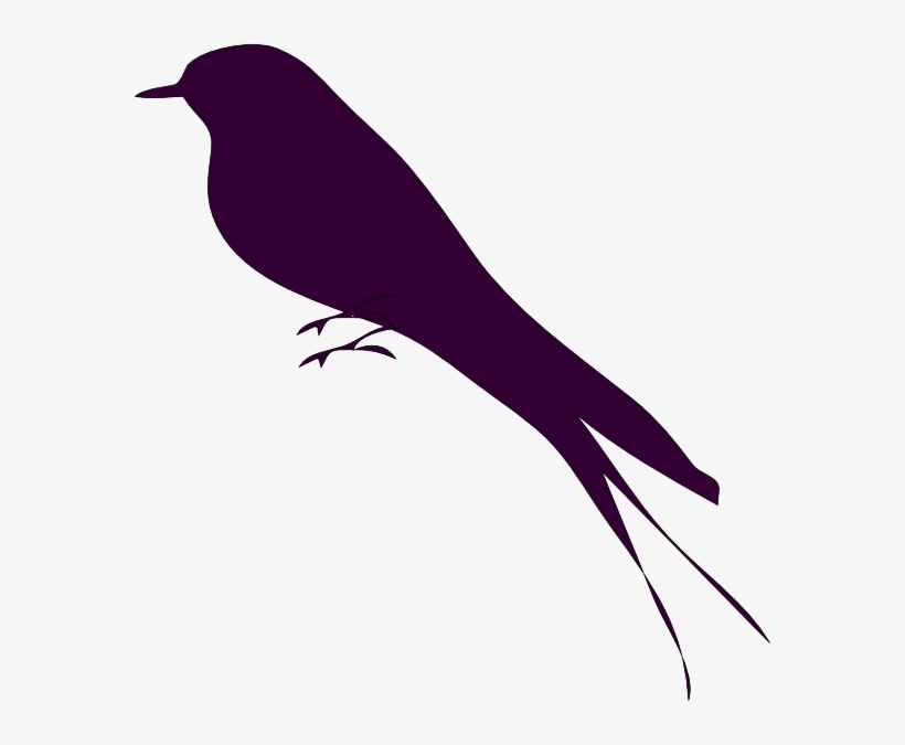 Mockingbird Png - Bird Small Pictures In Clipart, transparent png