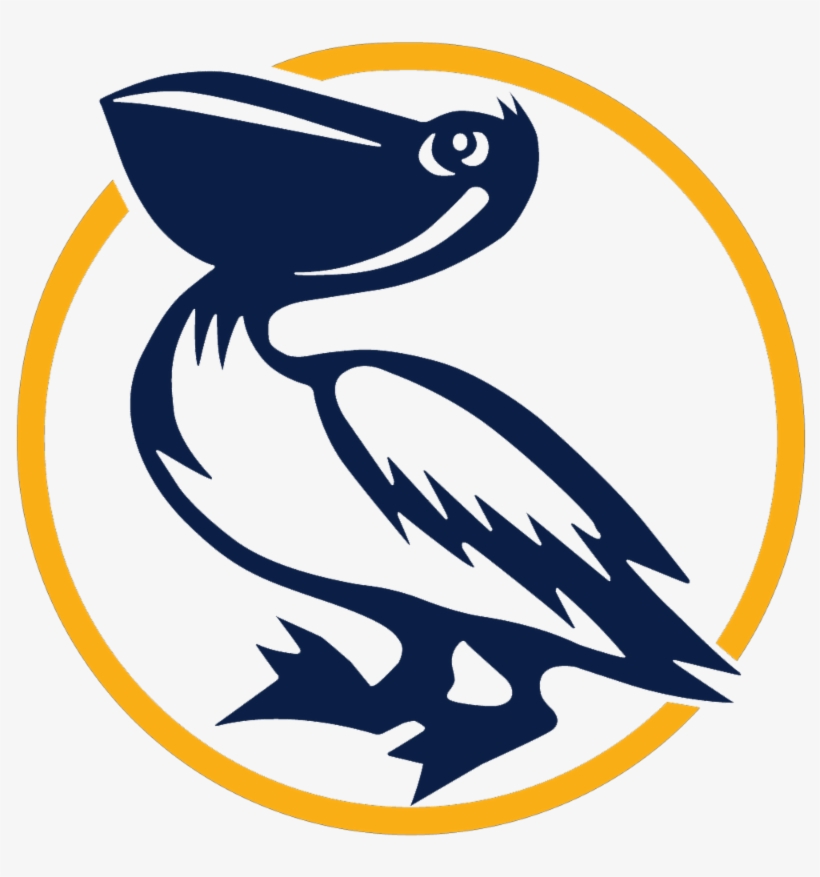 The Pelican Harbor Seabird Station Would Like To Extend - Pelican Harbor Seabird Station, transparent png