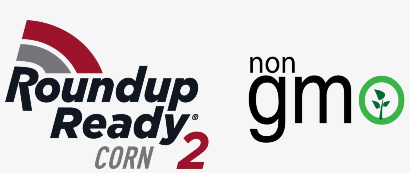 2414 Rr Corn 2 Non Gmo - Graphic Design, transparent png