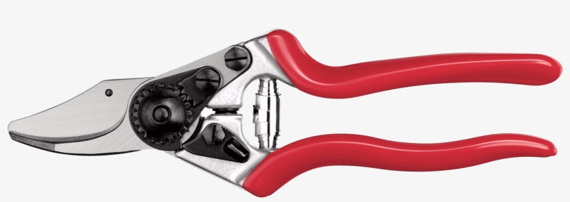 Forbici Da Potatura Felco 6, transparent png