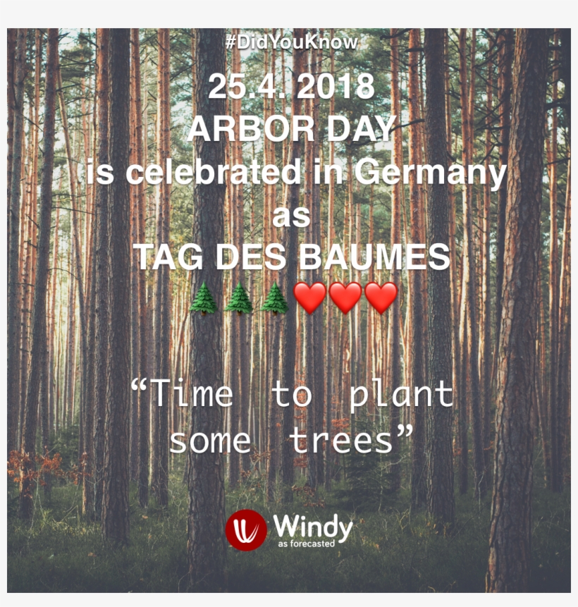 25 Apr - Tree, transparent png