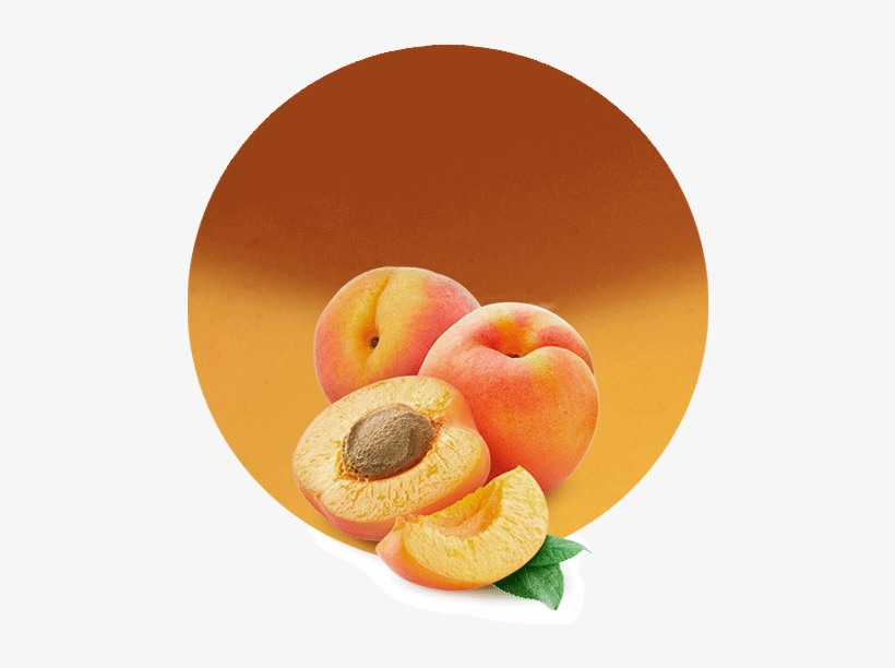 Com/wp Filling - Apricots Transparent, transparent png