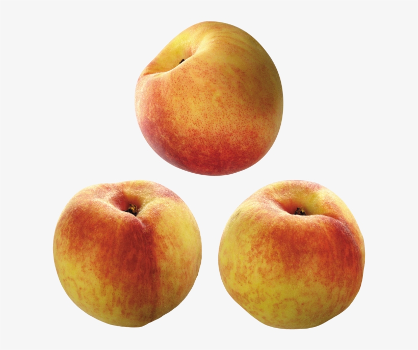 Apricot - Apricots, transparent png