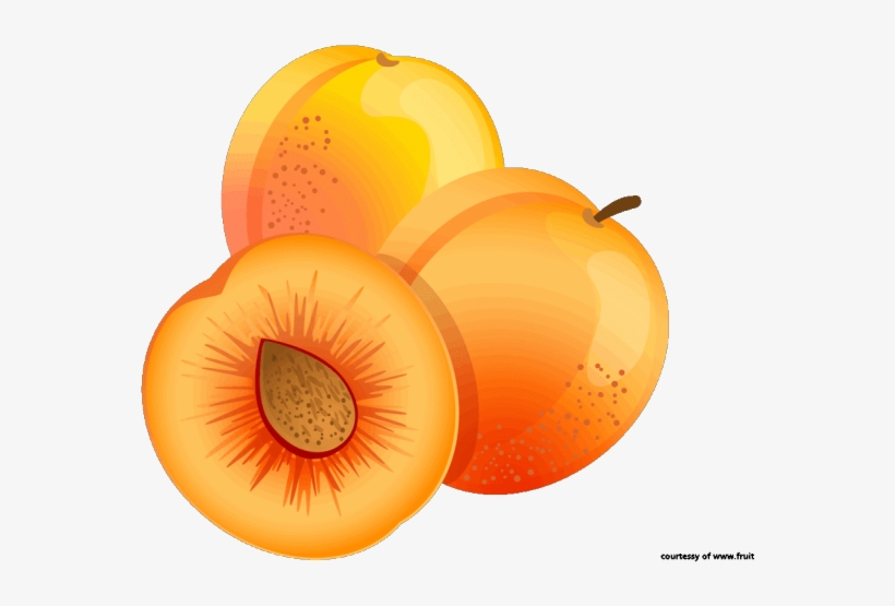 Apricot Clipart Appricot - Clipart Apricots Png, transparent png