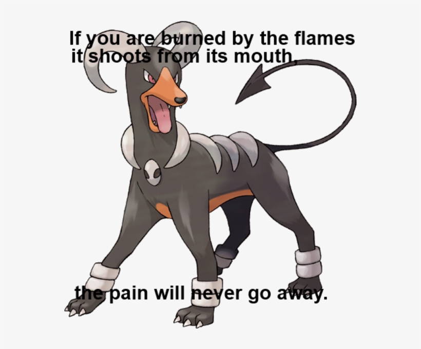 Apply Cold Water To That Burn - Pokemon Houndoom, transparent png