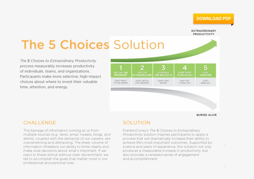 The Process - Brochure, transparent png