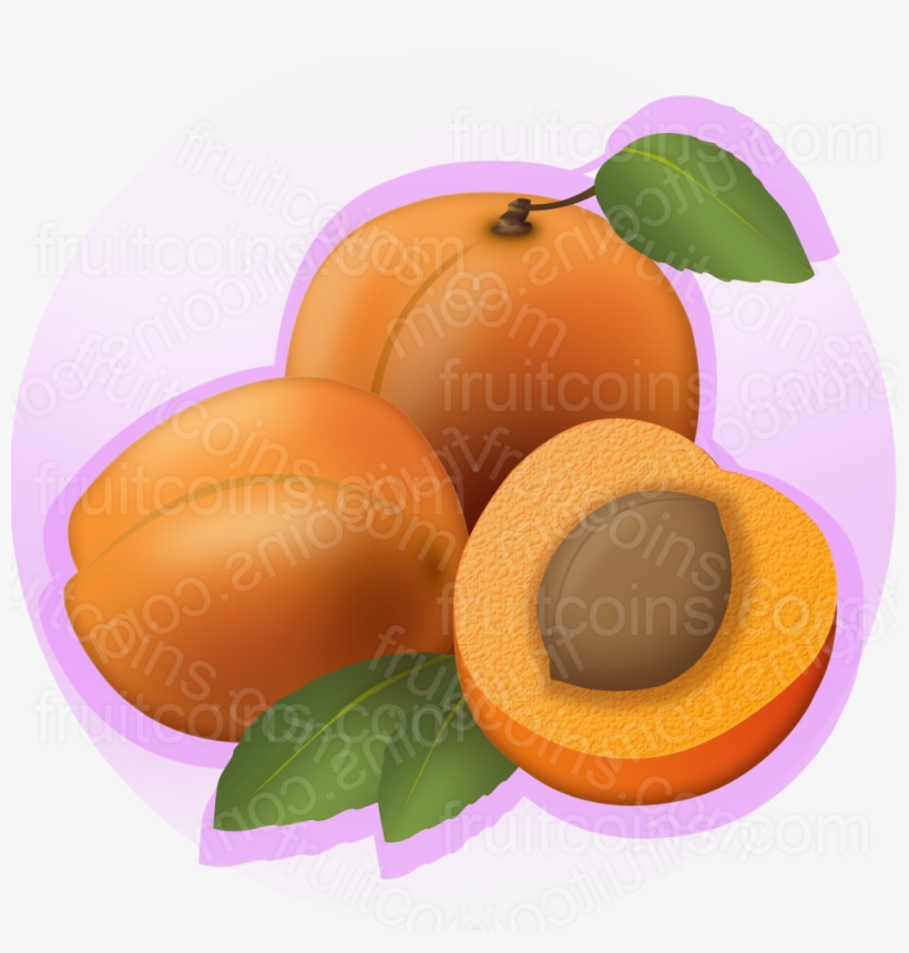 Apricot - Tangerine, transparent png
