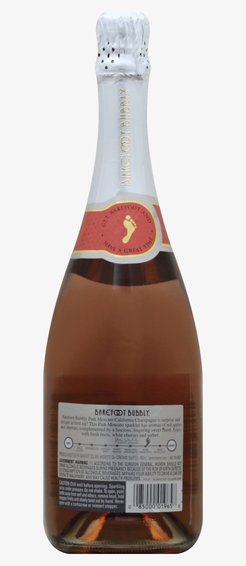 Champagne, transparent png