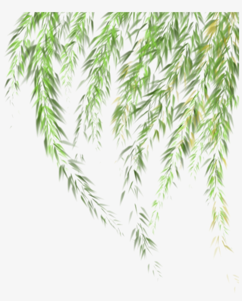 Willow Sticker - Grass, transparent png