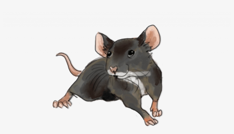 Felt Pen Mouse - Rat, transparent png