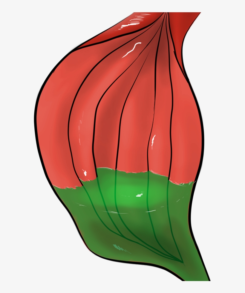 Free To Use Stomach With Acid - Hot Air Balloon, transparent png