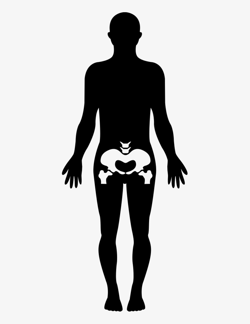 Hips Human Body Part Comments - Human Body, transparent png