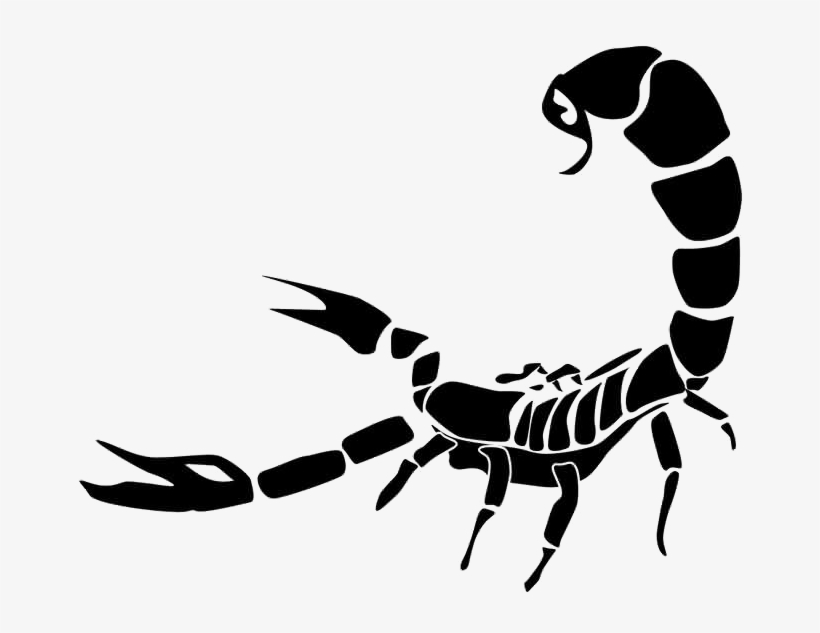 Scorpio Tattoo Png Photo - Scorpion Png, transparent png