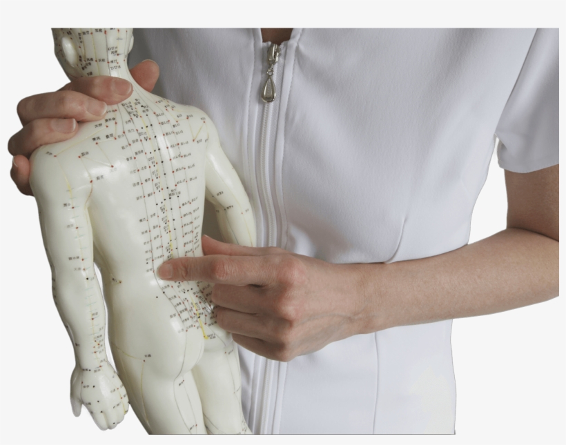 Human-body - Traditional Chinese Medicine, transparent png