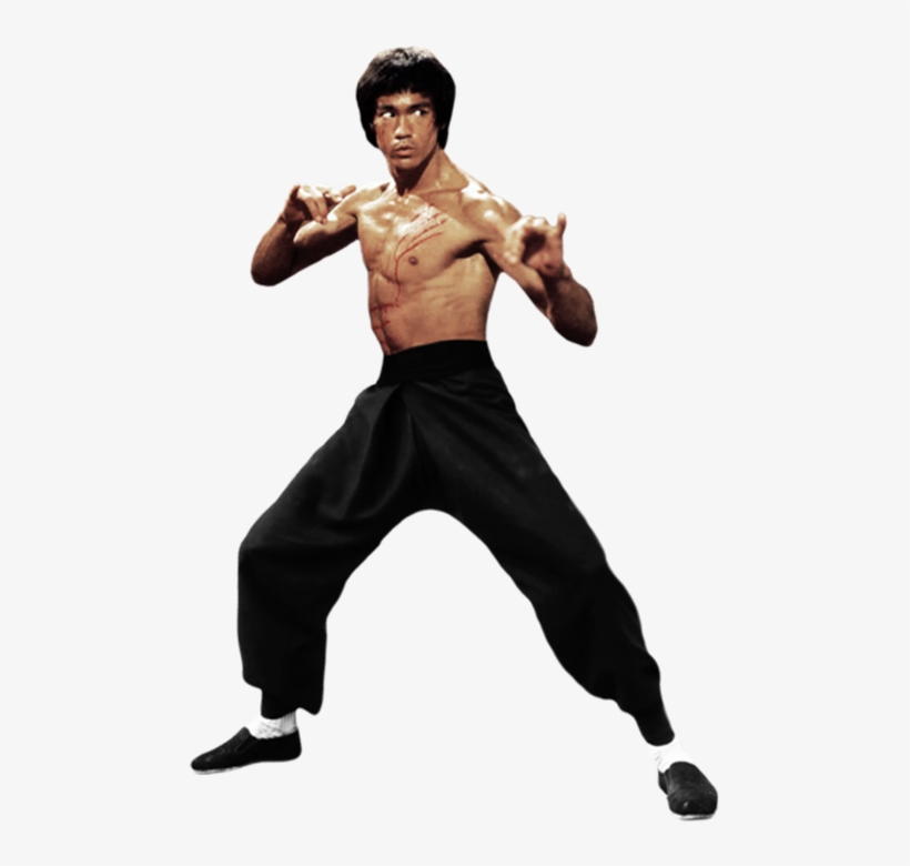 The Dragon Fight By Gdsfgs Bruce Lee Photos, Brandon - Free Transparent Bruce Lee, transparent png