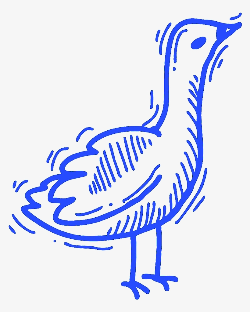 Duck, transparent png