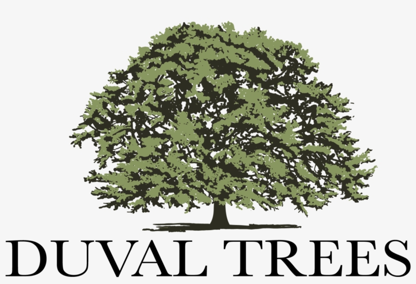 River Birch Png - Doubletree By Hilton Zagreb Logo, transparent png