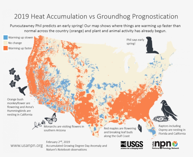 Did The Groundhog Get It Right This Year - United States Geological Survey, transparent png