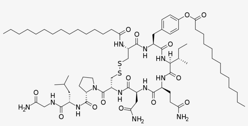 Related Posts - 8 Arginine Vasopressin, transparent png