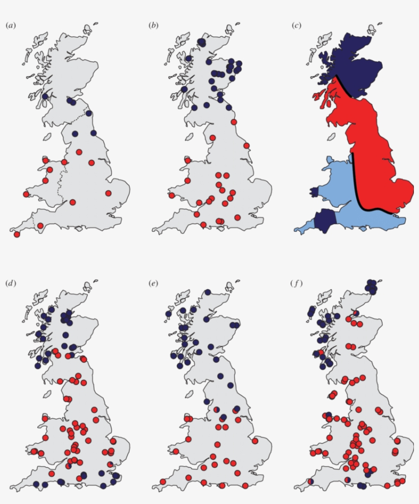 Celtic Fringes In British Small Mammals The Distribution - Map Of Uk, transparent png