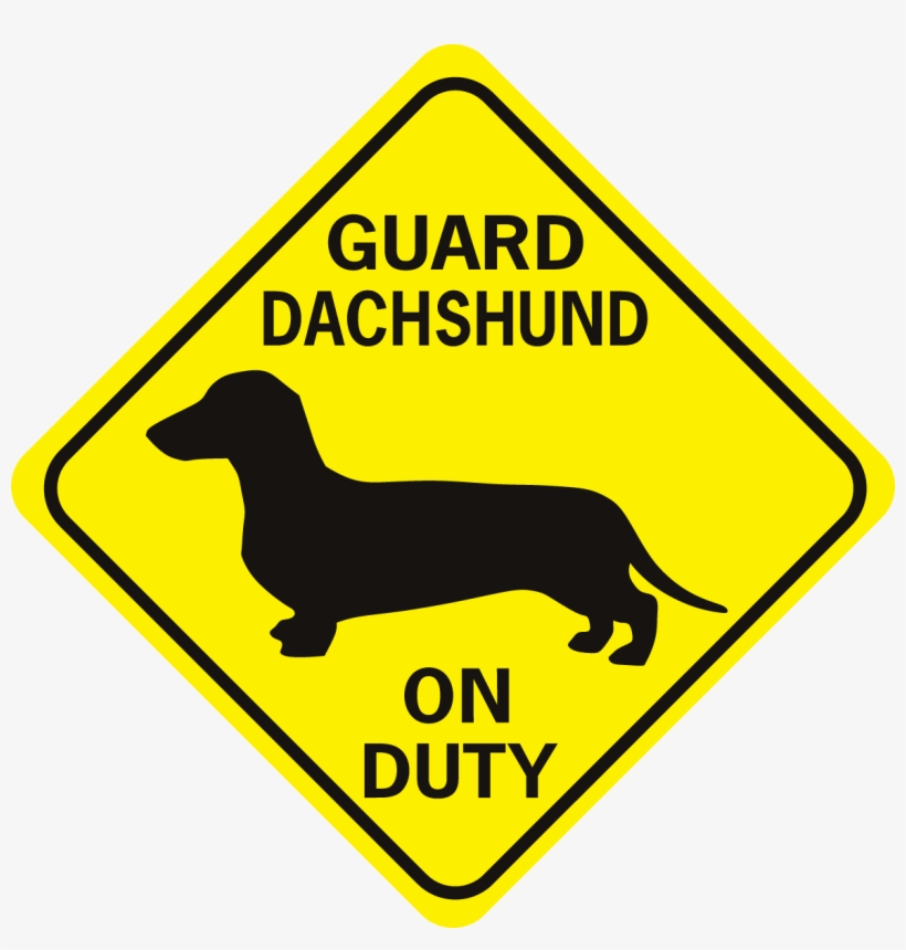 Signxing - You Can Clip Art, transparent png