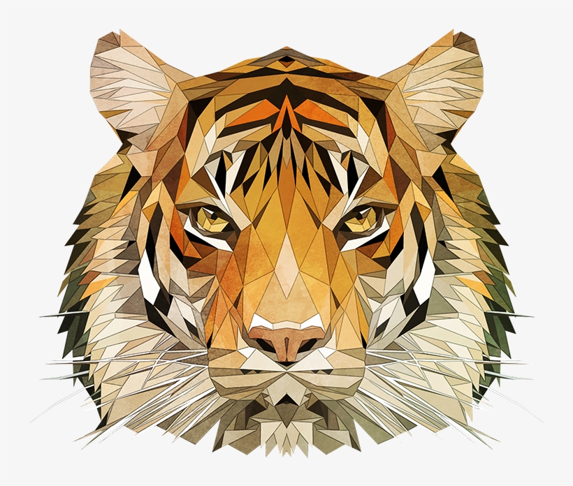 Then I Mirrored And Tweeked One Half Of The Tiger To - Siberian Tiger, transparent png