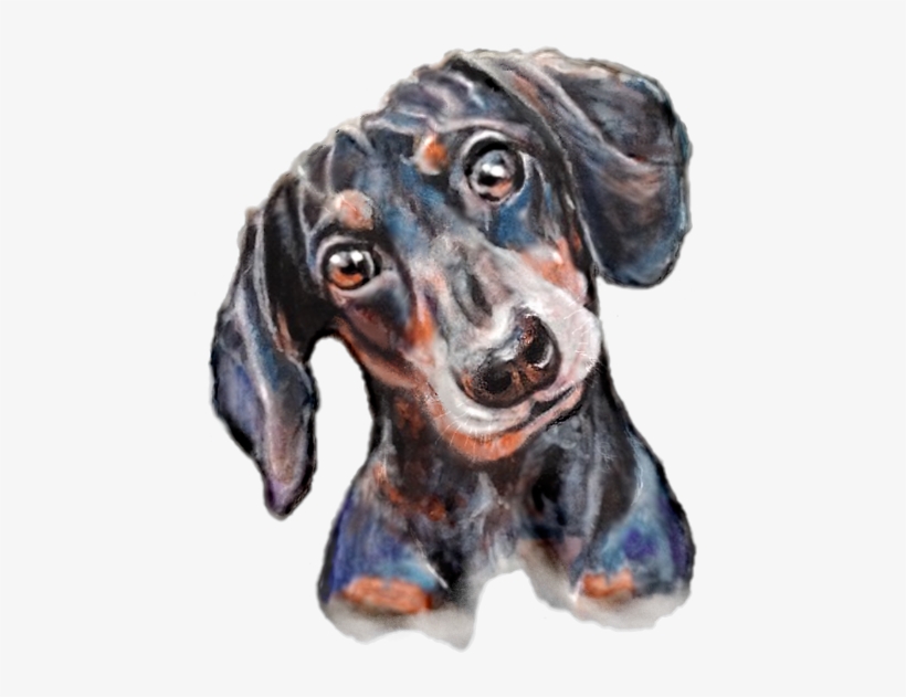 Dachshund, transparent png