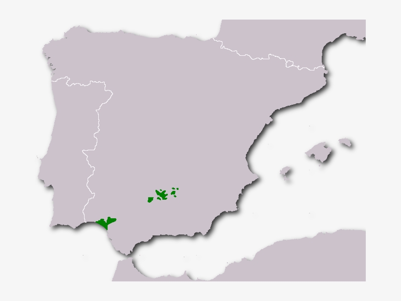 Distribucion - Lynx Pardinus Distribucion, transparent png