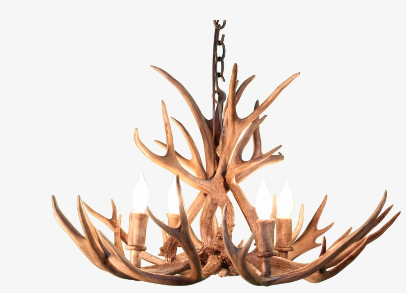 Deer Antlers Png, transparent png