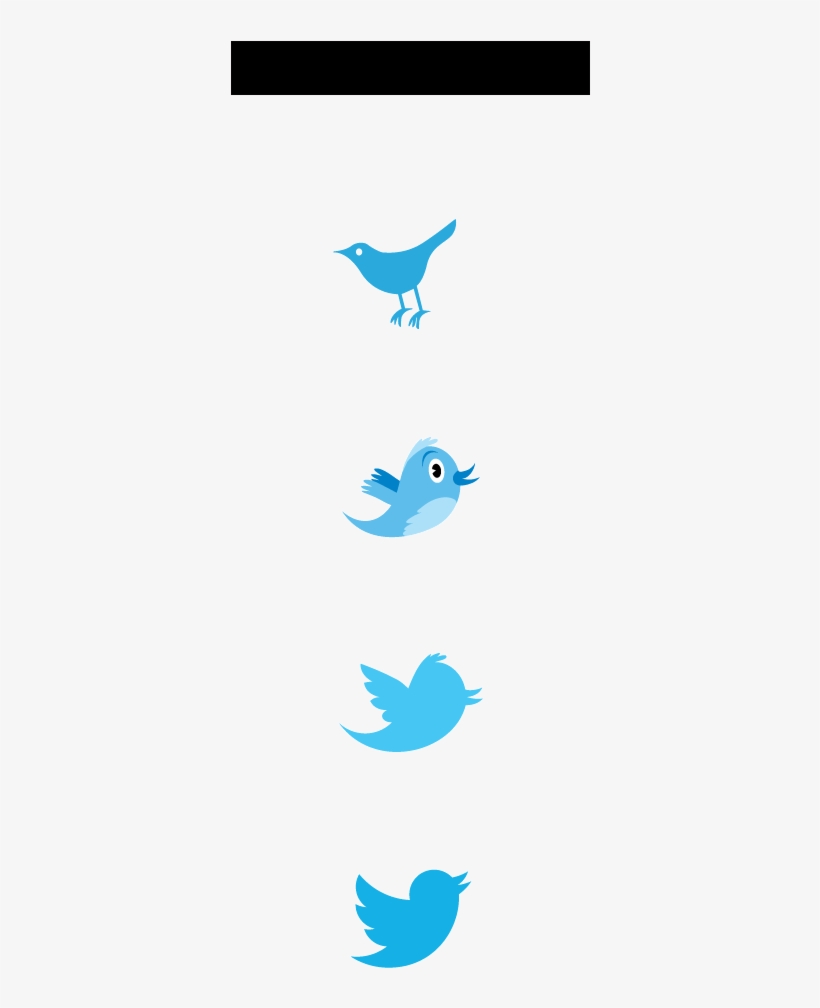 Never Miss A Moment - Twitter Bird, transparent png
