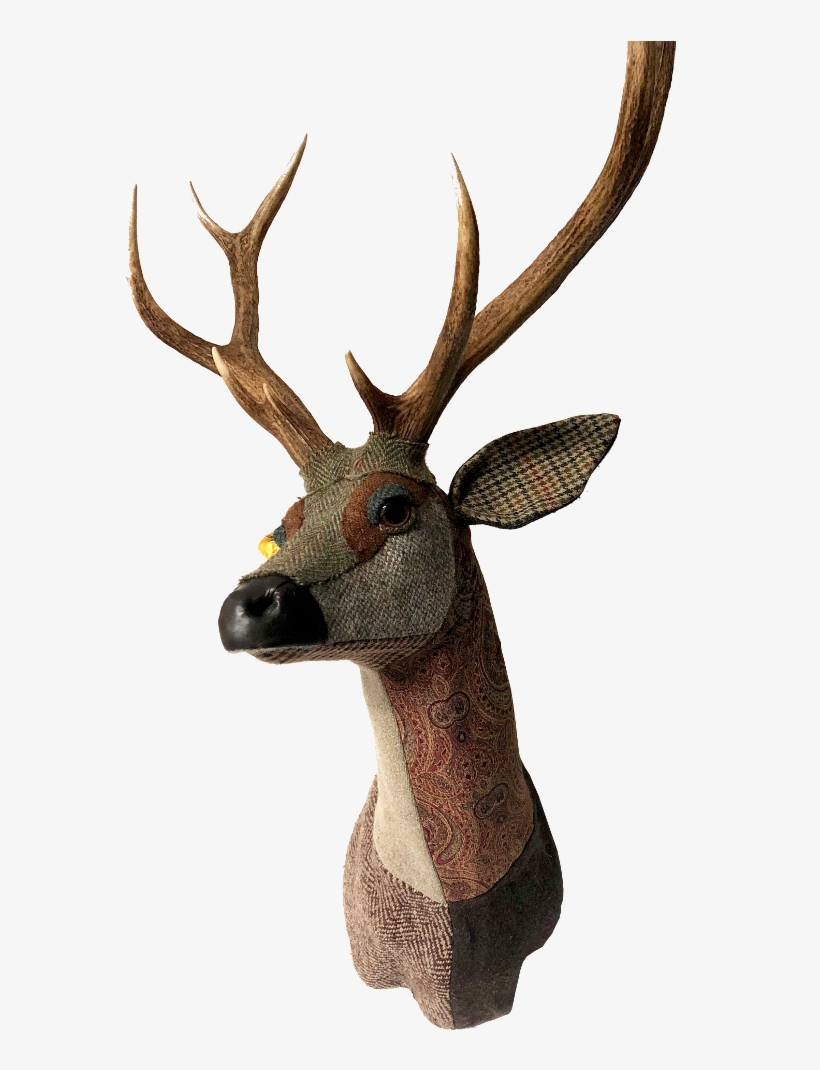 Deer Merlin Sika - Elk, transparent png