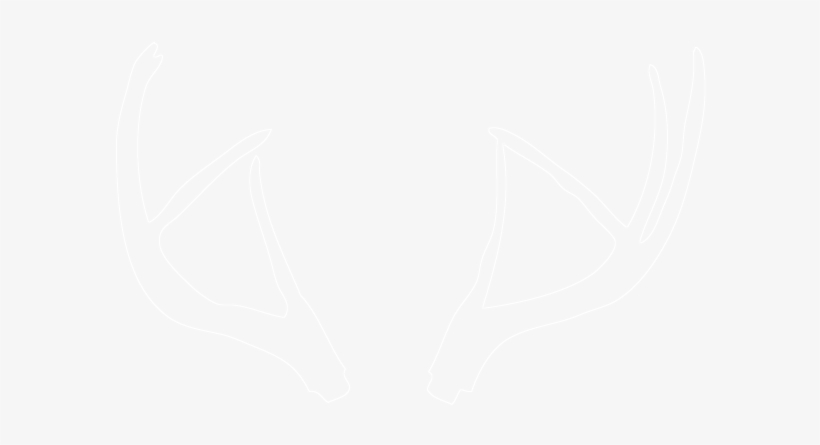 Deer Antlers Only, Front View, transparent png