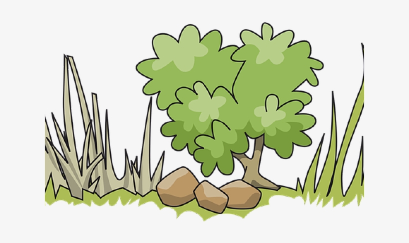 Clipart Shrubs, transparent png