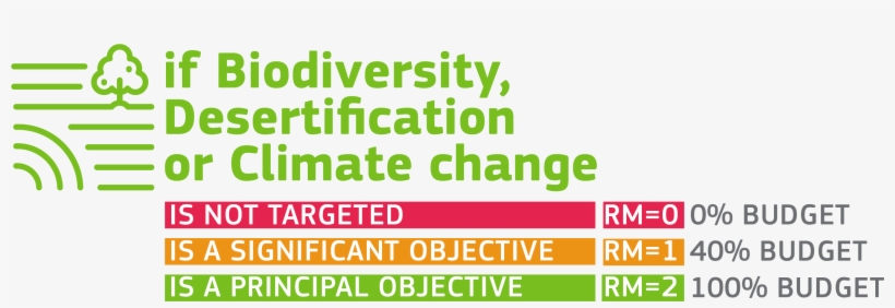 There Are Three Possible Values For The Rio Markers, - Graphic Design, transparent png