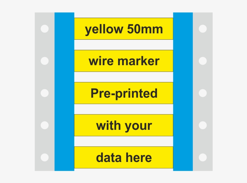 Pp Etm 4 - Circle, transparent png