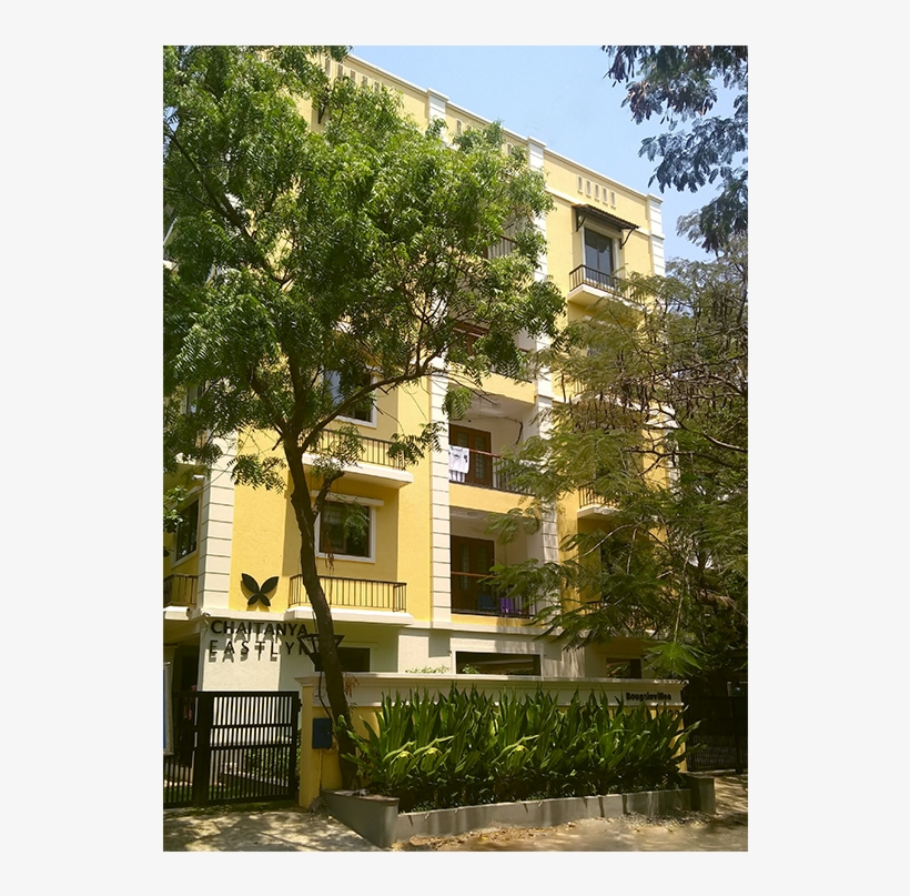 Bougainvillea - House, transparent png