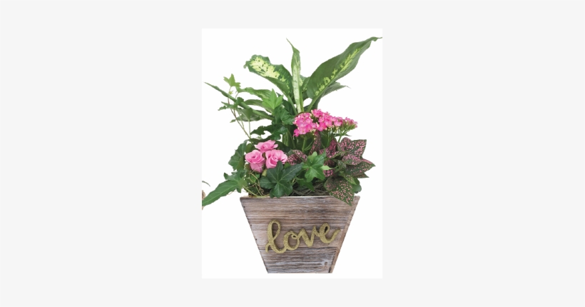 Forever Wooden Planter, transparent png