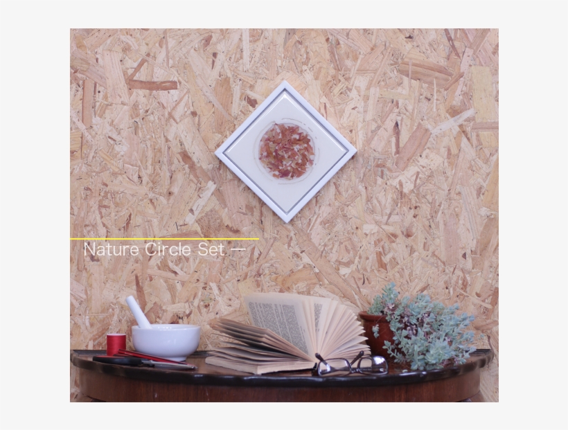 Nature Circle Set 1 Front Home Japanese Maple Gillies - Coffee Table, transparent png