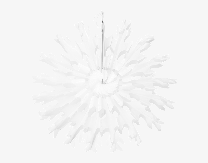 Copo De Nieve Ø 25 Cm - Analogous Color Scheme Logo, transparent png