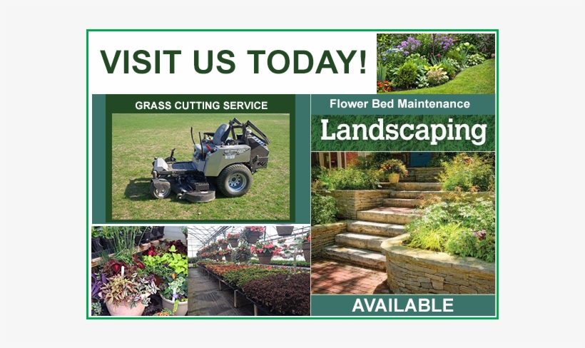 Sunrise Garden Centre - Yard, transparent png