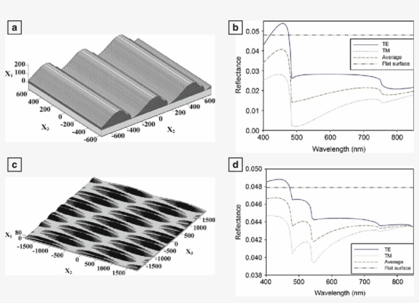 Calculated Reflectivity Of The Hornet Cuticle Surface - Oriental Hornet Cuticle, transparent png