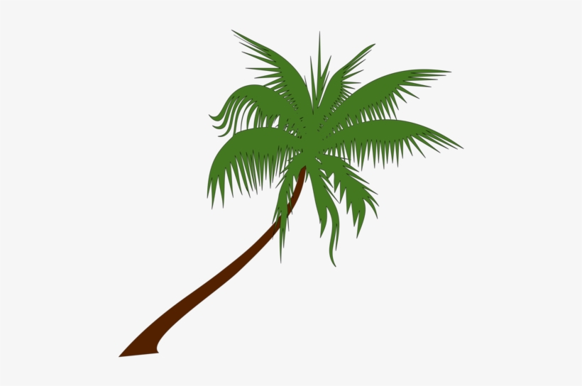 Adonidia Tree Download Art Document - Palm Tree Vector Png, transparent png