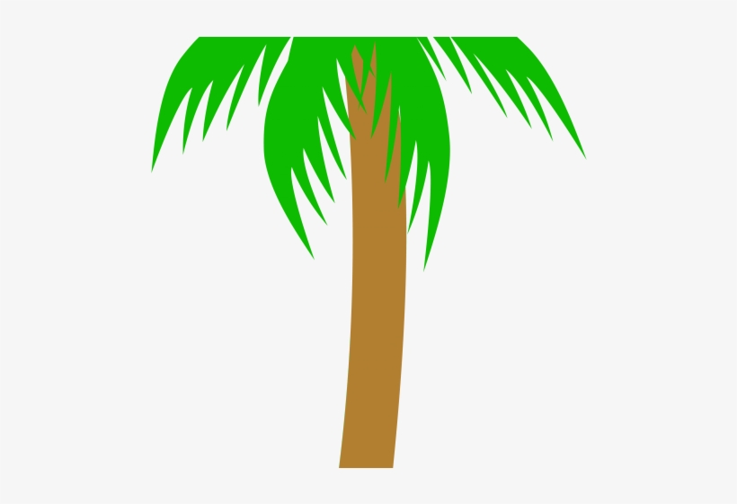 Tropics Clipart Palm Frond - Palm Tree, transparent png