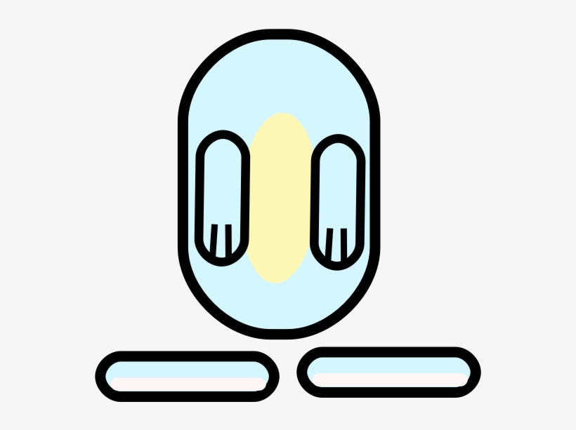 Bunny Body2 - Bunny Body Cartoon, transparent png
