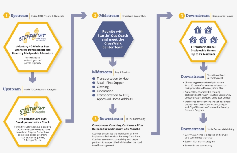 Cwc Reintegration - Diagram, transparent png
