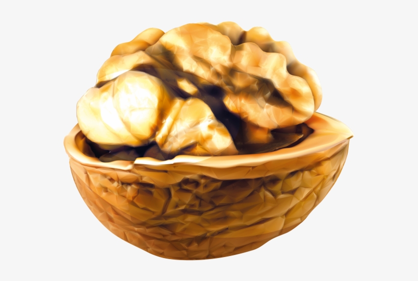 Walnut - Ceviz Vektör Png, transparent png